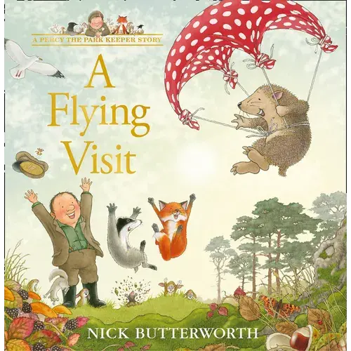 A Flying Visit - Hardcover 1