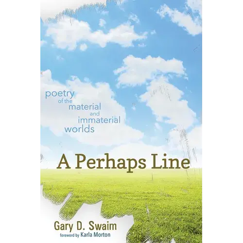A Perhaps Line: Poetry Of The Material And Immaterial Worlds - Paperback 1