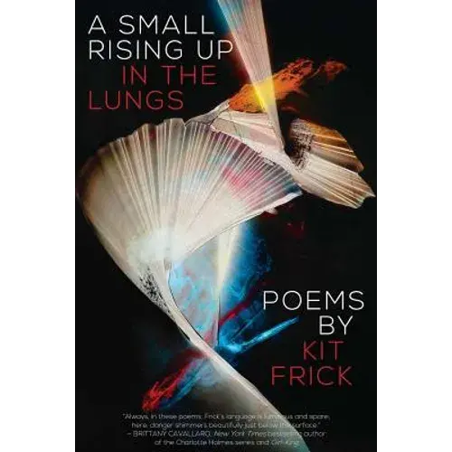A Small Rising Up In The Lungs - Paperback 1