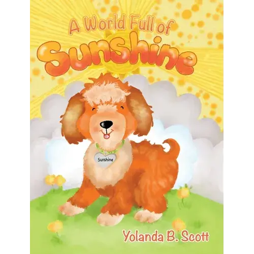 A World Full Of Sunshine - Hardcover 1
