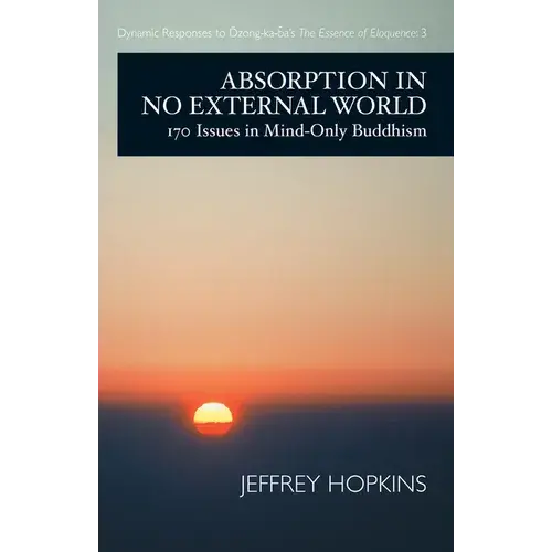 Absorption In No External World: 170 Issues In Mind-Only Buddhism - Paperback 1