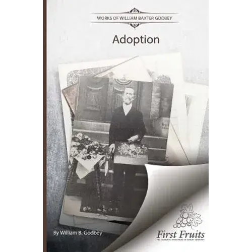 Adoption - Paperback 1