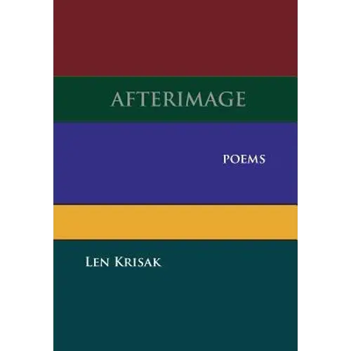 Afterimage - Hardcover 1
