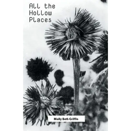 All The Hollow Places - Paperback 1