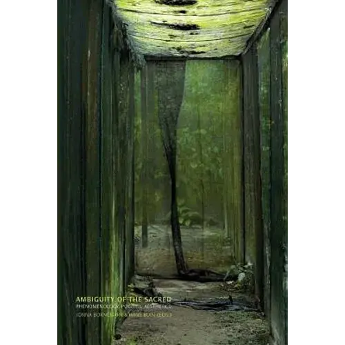 Ambiguity Of The Sacred: Phenomenology, Politics - Paperback 1