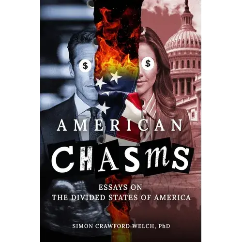 American Chasms: Essays On The Divided States Of America - Paperback 1