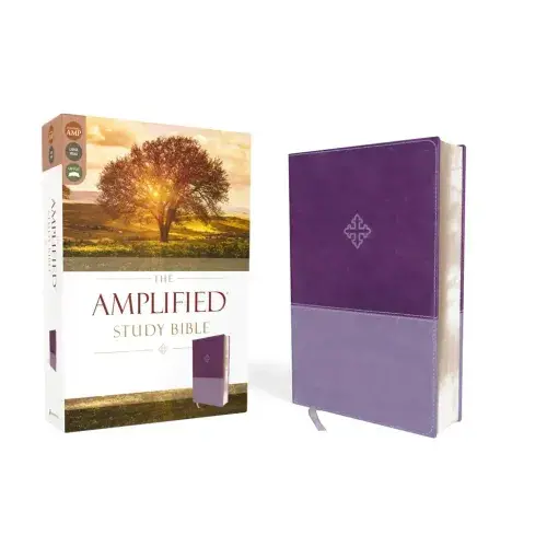 Amplified Study Bible, Imitation Leather, Purple - Imitation Leather 1