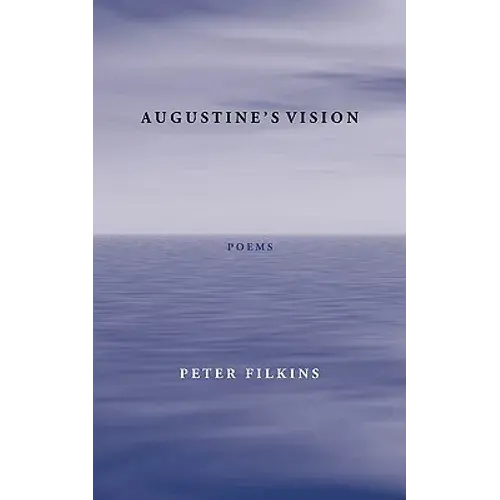 Augustine's Vision - Paperback 1