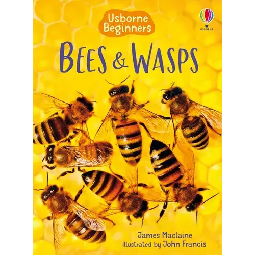 Bees And Wasps - Paperback 1