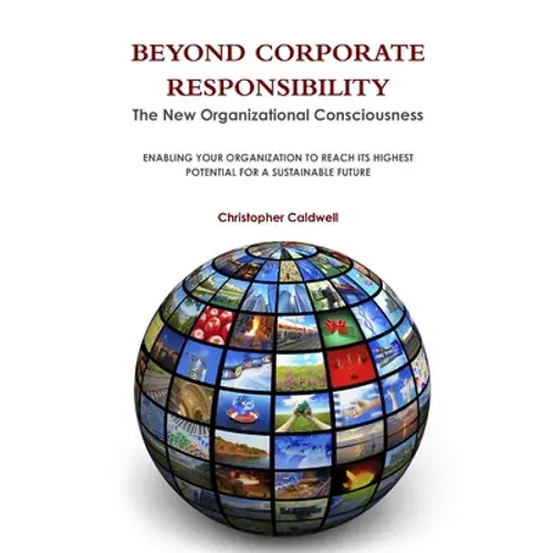 Beyond Corporate Responsibility - Paperback 1