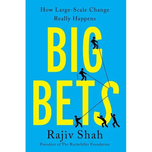 Big Bets: How Large-Scale Change Really Happens - Hardcover 1