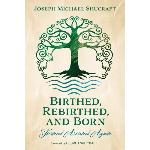 Birthed, Rebirthed, And Born: Turned Around Again - Paperback 1