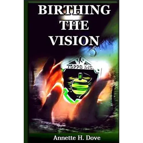 Birthing The Vision - Paperback 1