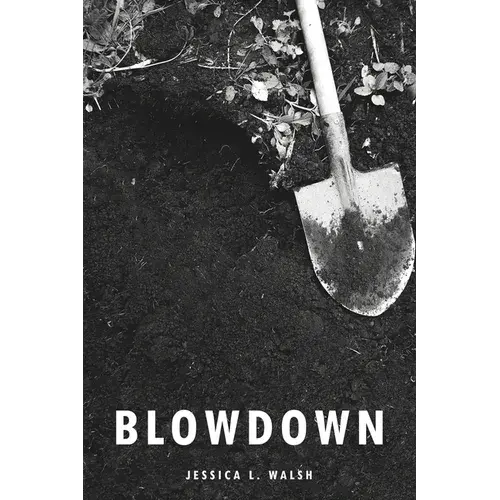 Blowdown - Paperback 1