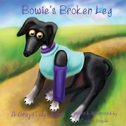 Bowie's Broken Leg - Paperback 1