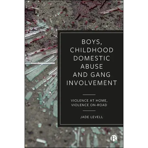Boys, Childhood Domestic Abuse And Gang Involvement: Violence At Home, Violence On-Road - Paperback 1
