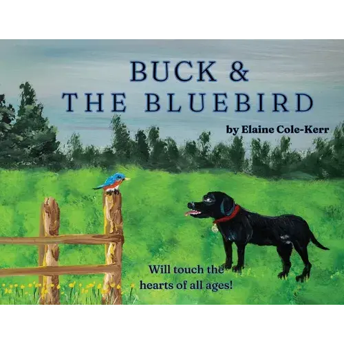 Buck And The Bluebird - Paperback 1