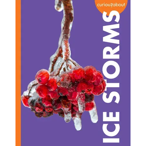 Curious About Ice Storms - Paperback 1