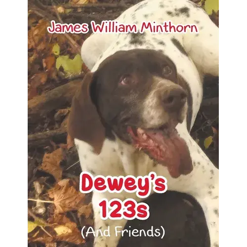 Dewey's 123S: (And Friends) - Paperback 1