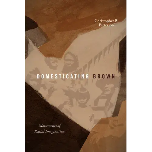 Domesticating Brown: Movements Of Racial Imagination - Paperback 1