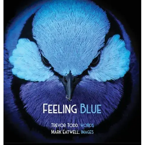 Feeling Blue - Hardcover 1