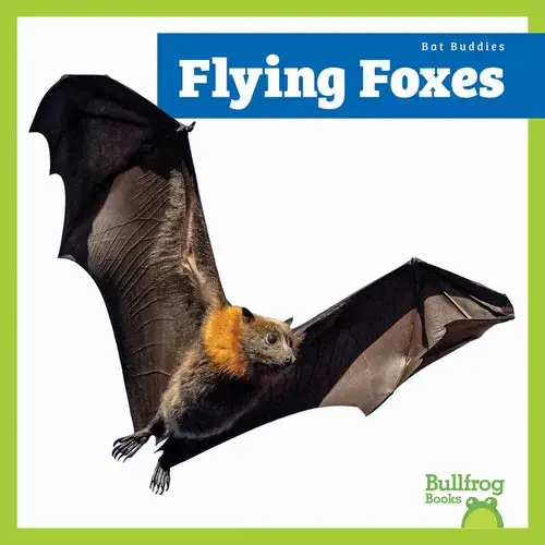 Flying Foxes - Paperback 1