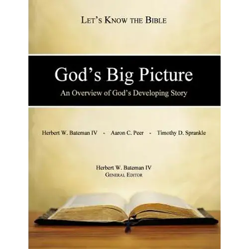 God's Big Picture: An Overview Of God's Developing Story - Paperback 1