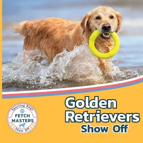 Golden Retrievers Show Off - Paperback 1