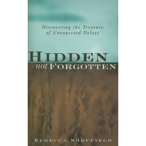 Hidden, Not Forgotten: Discovering The Treasure Of Unexpected Delays - Paperback 1