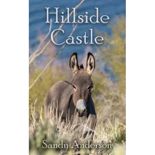 Hillside Castle - Paperback 1