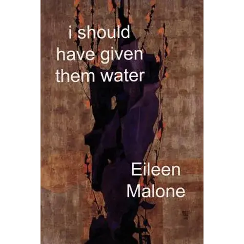 I Should Have Given Them Water - Paperback 1