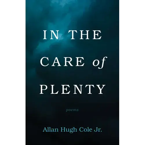 In The Care Of Plenty: Poems - Paperback 1