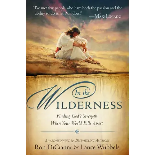In The Wilderness: Finding God's Strength When Your World Falls Apart - Paperback 1
