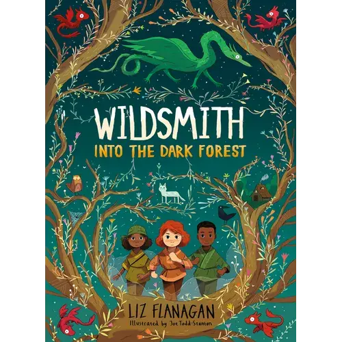 Into The Dark Forest - Paperback 1