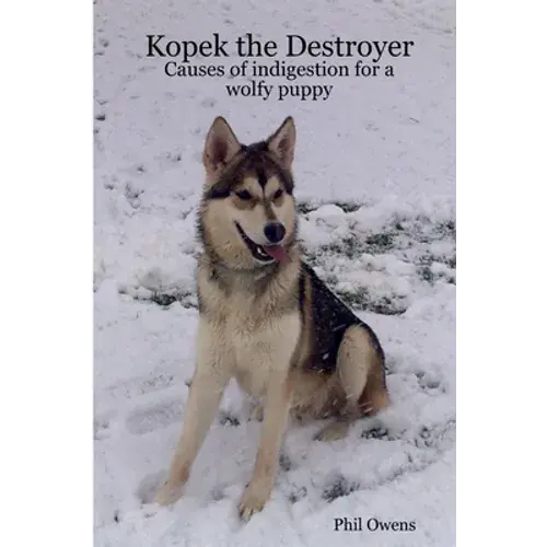 Kopek The Destroyer - Paperback 1