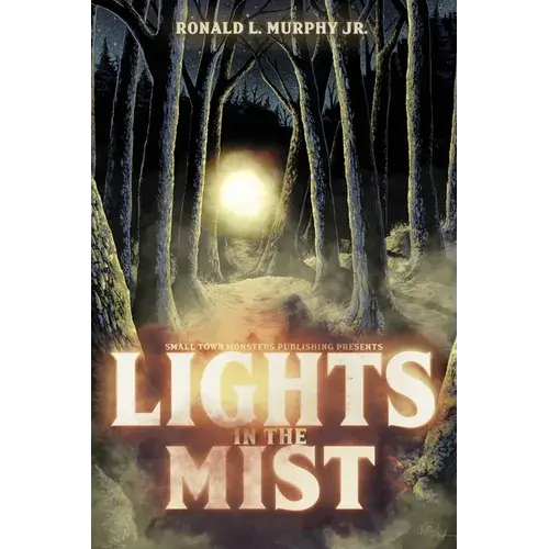Lights In The Mist - Paperback 1