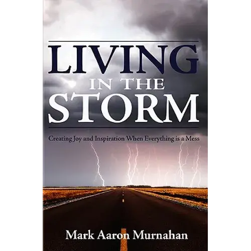 Living In The Storm: Creating Joy And Inspiration When Everything Is A Mess - Paperback 1