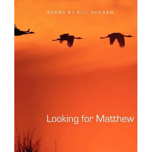 Looking For Matthew - Paperback 1