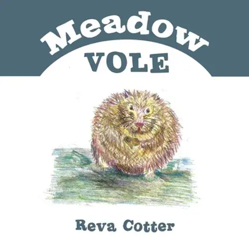 Meadow Vole - Paperback 1