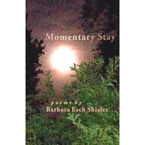 Momentary Stay: Poems - Paperback 1