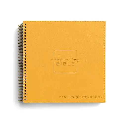 Niv Illustrating Bible, Genesis - Deuteronomy - Leather 1