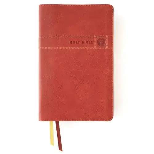Niv, Men's Devotional Bible (By Men, For Men), Leathersoft, Brown, Comfort Print - Imitation Leather 1