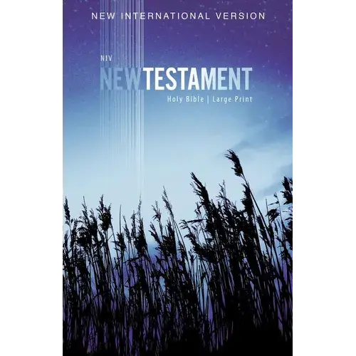 Niv, Outreach New Testament, Large Print, Paperback - Paperback 1