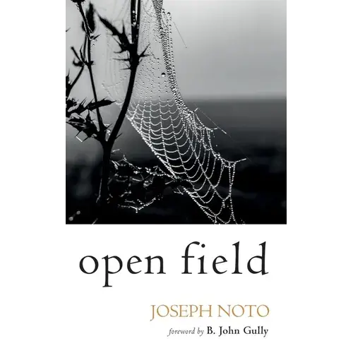 Open Field - Paperback 1