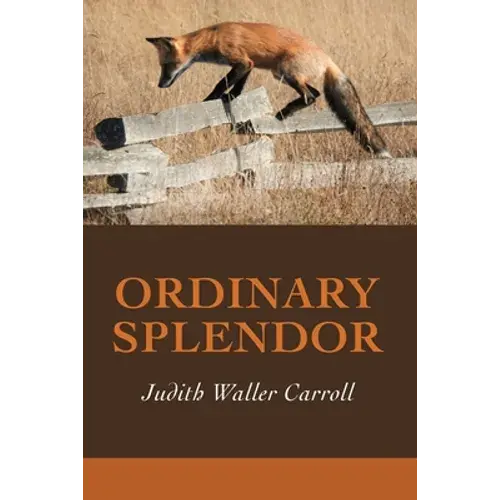Ordinary Splendor - Paperback 1