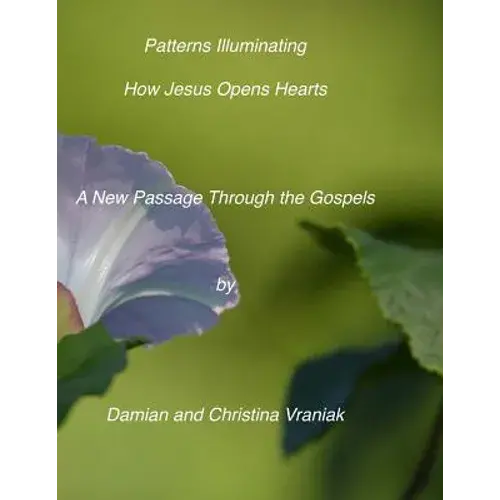 Patterns Illuminating How Jesus Opens The Heart: : A New Passage Through The Gospels - Paperback 1