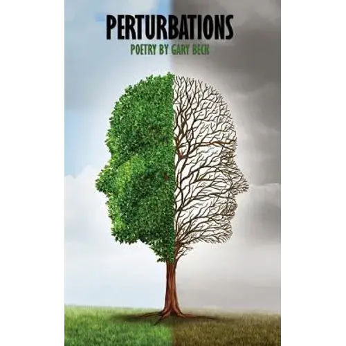 Perturbations - Paperback 1