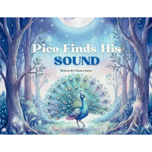 Pico Finds His Sound - Paperback 1