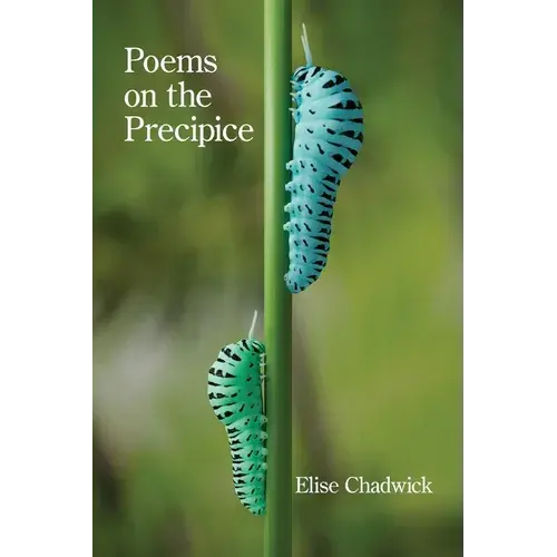 Poems On The Precipice - Paperback 1