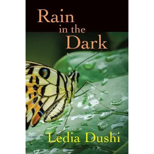 Rain In The Dark - Paperback 1